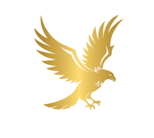 Arc Flight Training Logo
